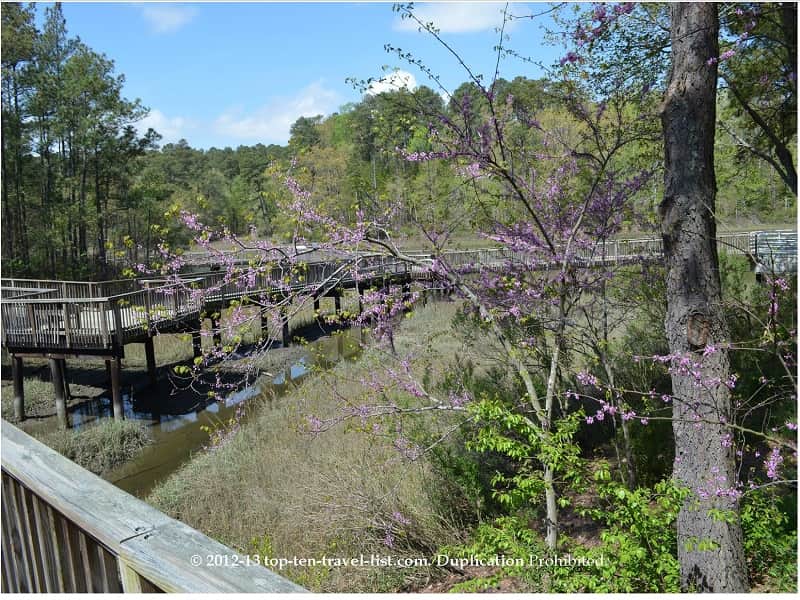 Nature walk at the Virginia Aquarium 