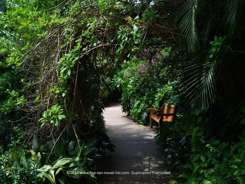 Shaded path at Sunken Gardens in St. Petersburg, Florida 