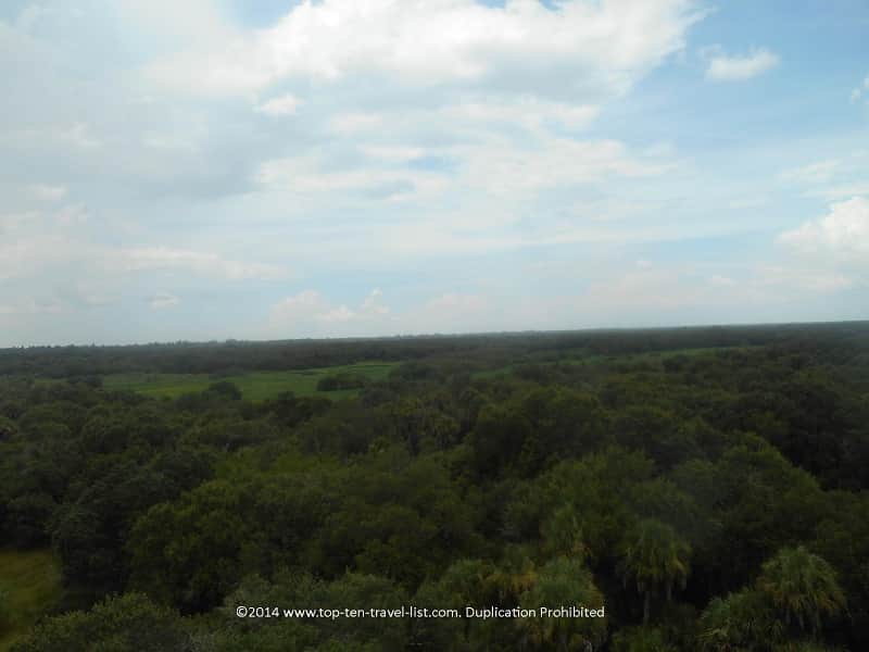 Views from Myakka River State Park observation tower 