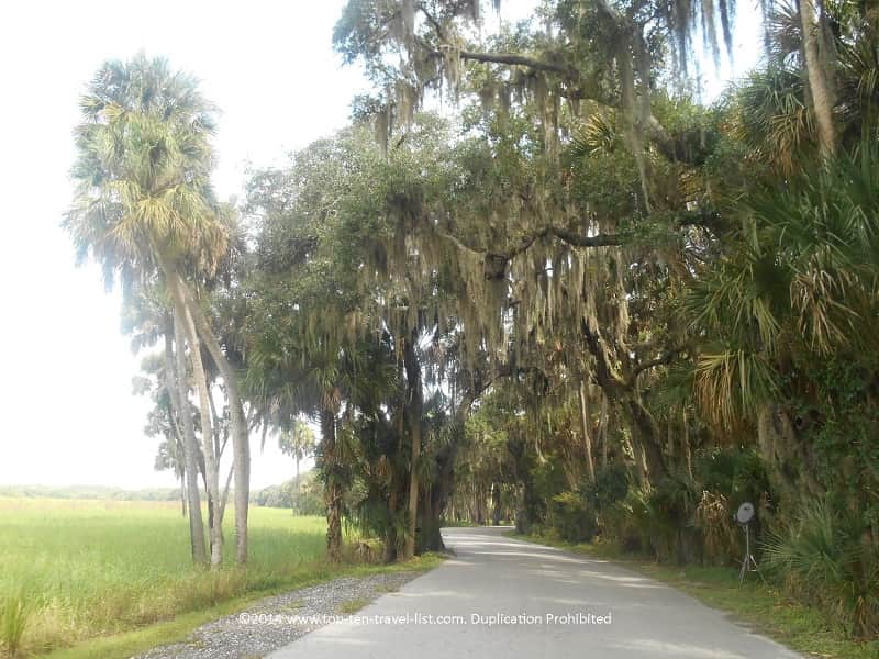 Scenic driving loop at Myakka River State Park