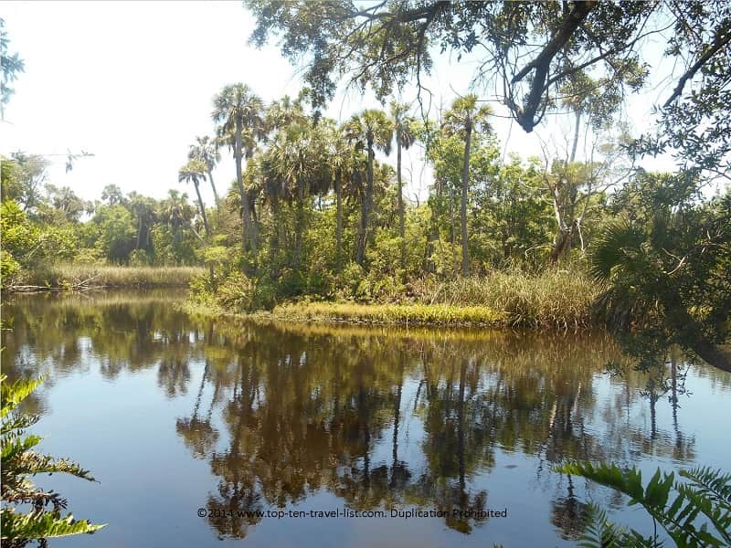 Peaceful views at James E Grey preserve New Port Richey 