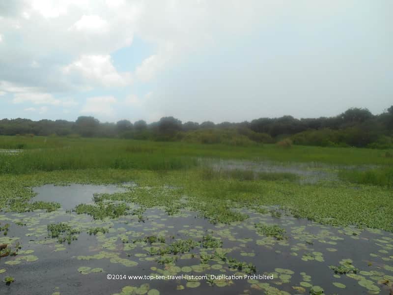 Pretty views of Upper Myakka Lake in Sarasota 