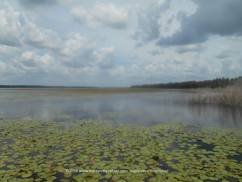 Pretty views of Upper Myakka Lake - Gator Gal cruise 