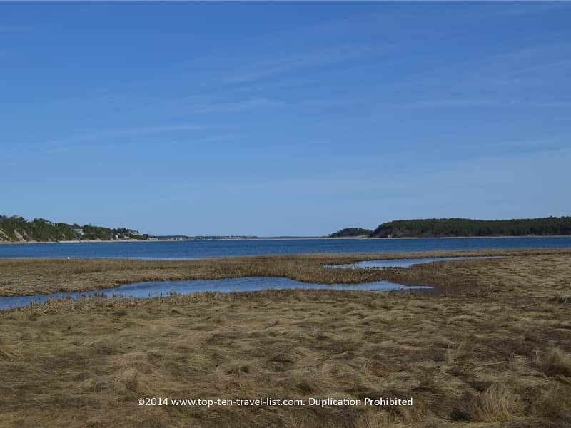 Salt marsh along the Cape Cod Island trail