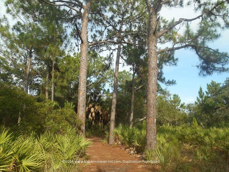 Peaceful tree lined views at Weedon Island Preserve - St. Petersburg, Florida