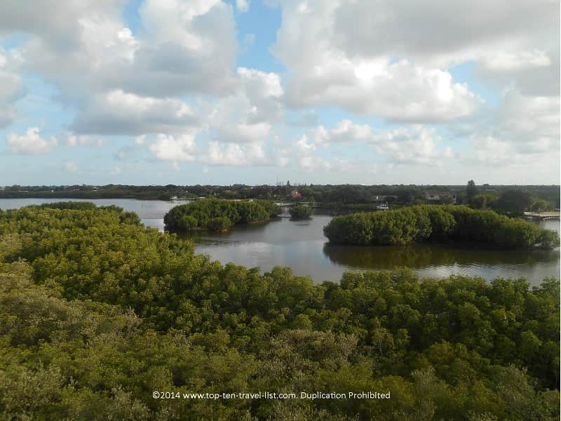 Views from the observation tower at Weedon Island Preserve in St. Petersburg, Florida