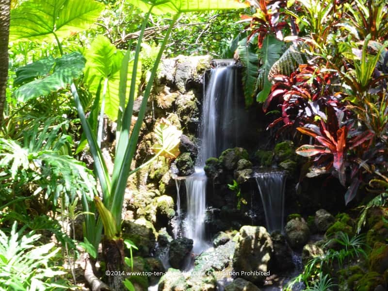 Waterfall at Sunken Gardens in St. Petersburg, Florida 