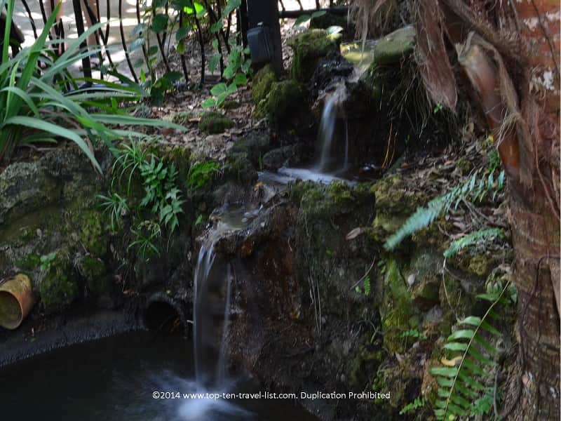 Waterfall at Sunken Gardens in St. Pete