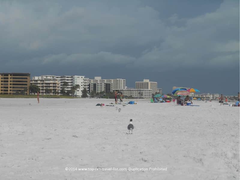 Nice wide stretch of sand at Sarasota's Siesta Key Beach 