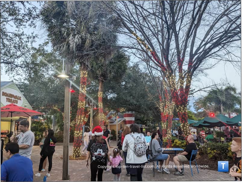 Zoo Tampa at Christmas