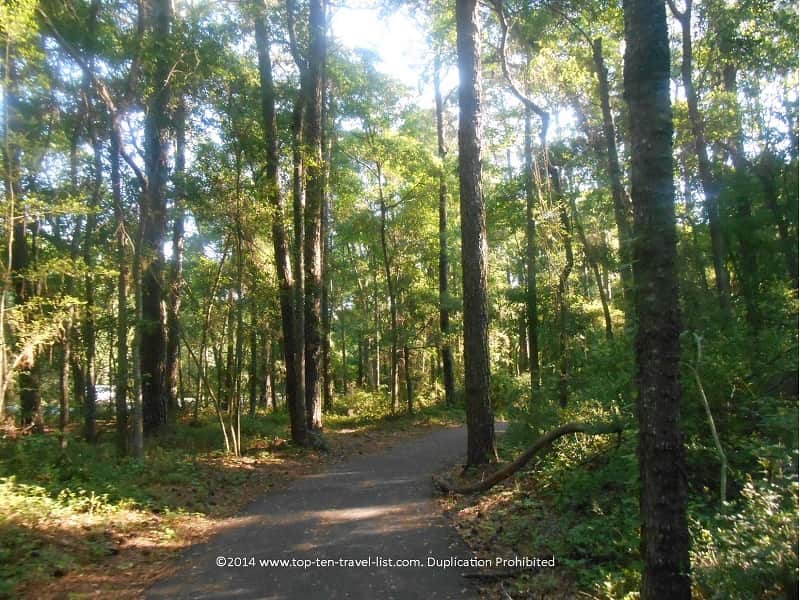 Beautiful wooded trail in South Carolina's Huntington Beach State Park 