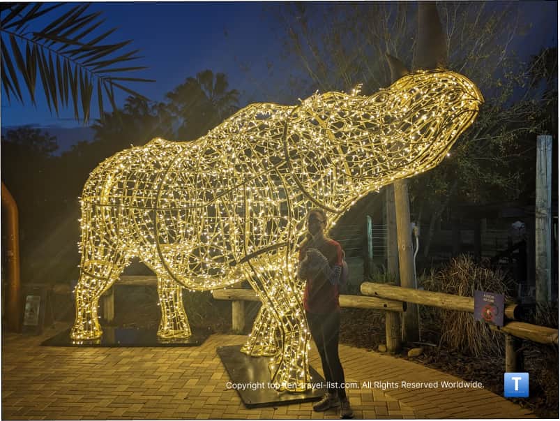 Rhino Christmas exhibit at Zoo Tampa