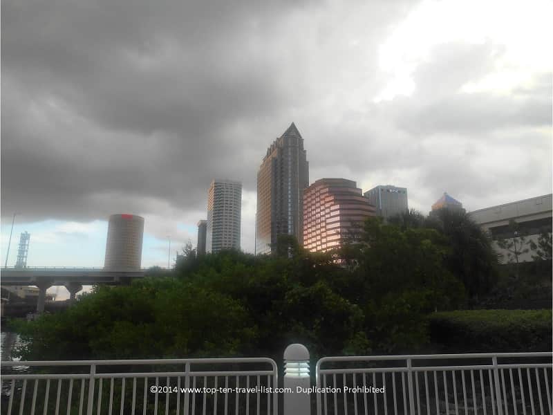 Tampa skyline view