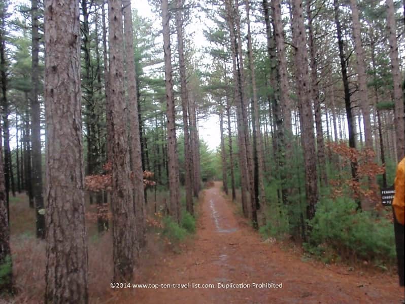 Hiking at beautiful Myles Standish State Forest in Carver, MA