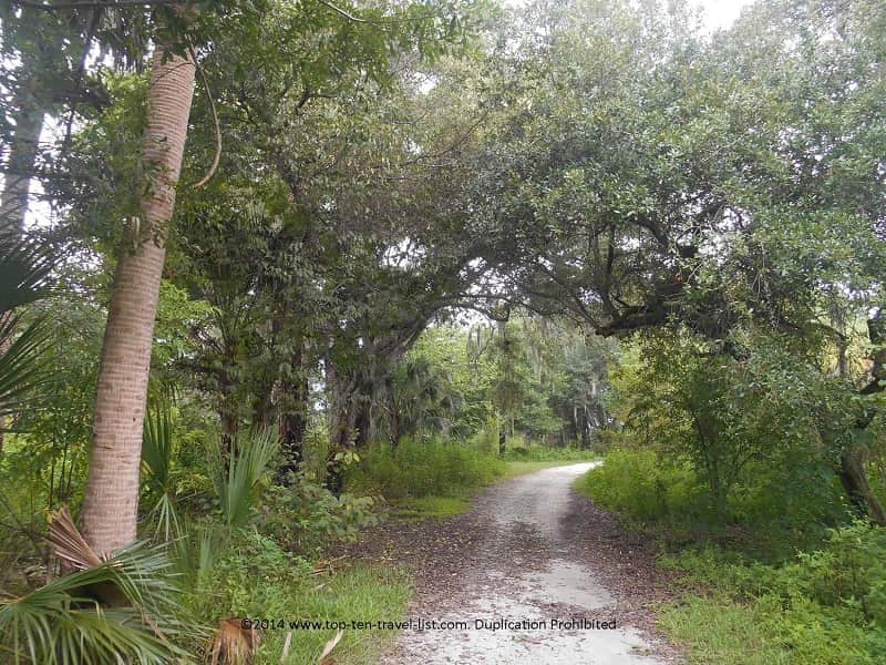 Main Trail loop at Boyd Hill Nature Preserve in St. Petersburg, Florida 