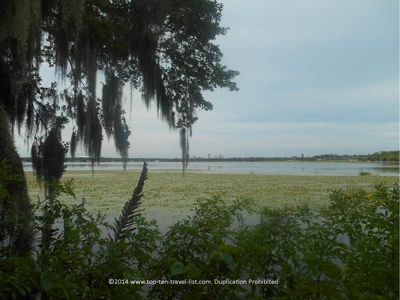 Marsh views at Boyd Hill Nature Preserve