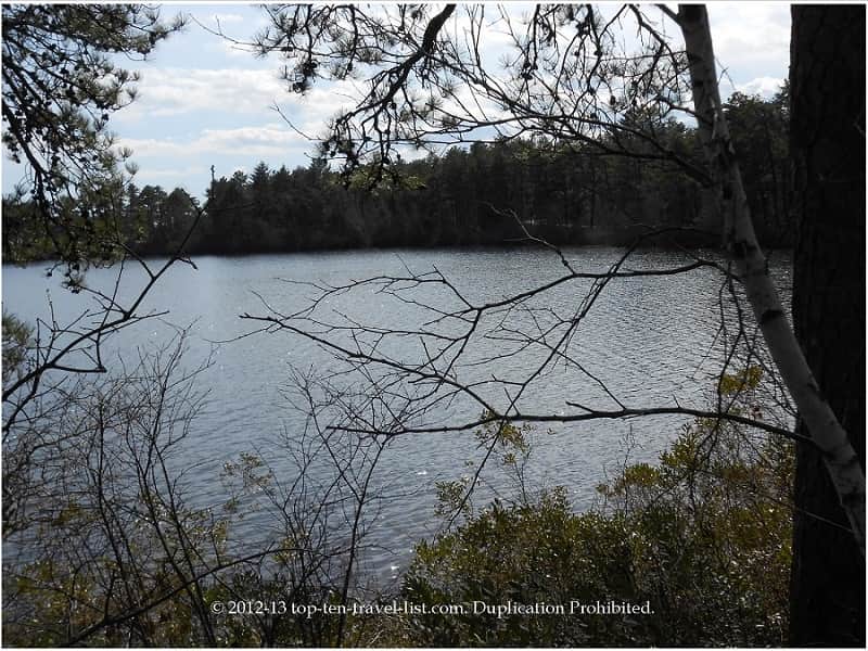 Icy winter views at Myles Stanidsh State Forest in Southeast Massachusetts