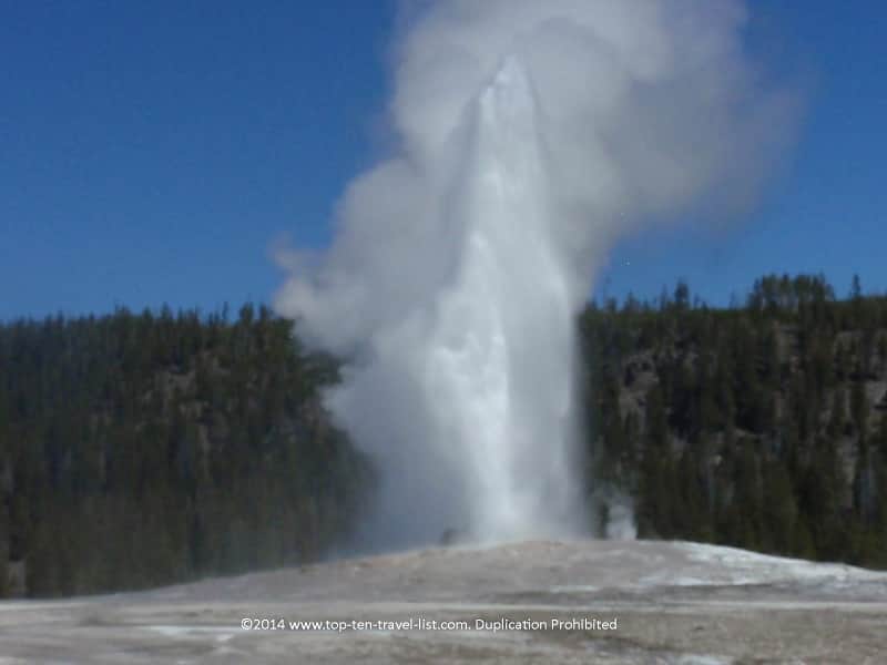 Old Faithful at Yellowstone National Park 