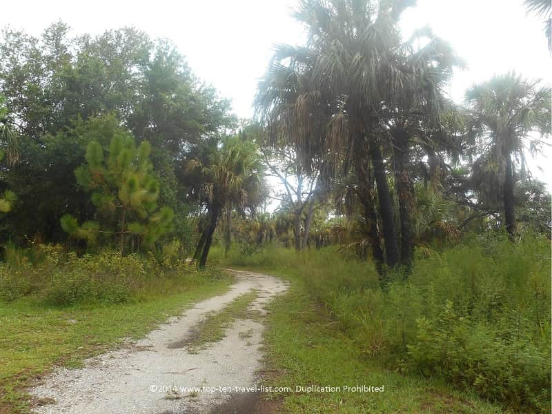 Trees on the Sand Scrub trail at Boyd Hill Nature Preserve 