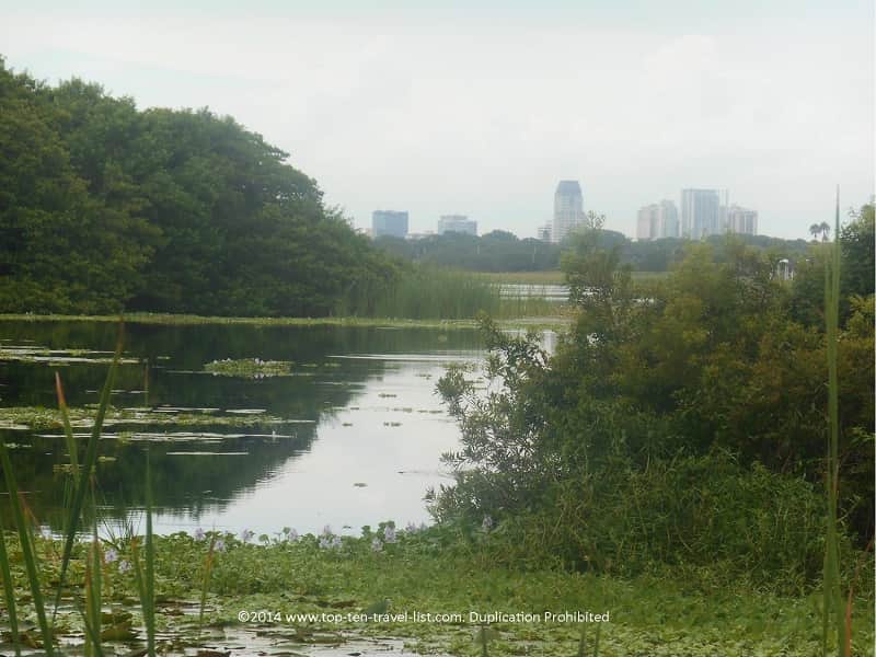 Skyline views at Boyd Hill Nature Preserve in St. Petersburg, Florida 