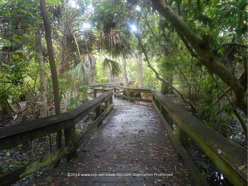 Swamp boardwalk trail at Boyd Hill Nature Preserve