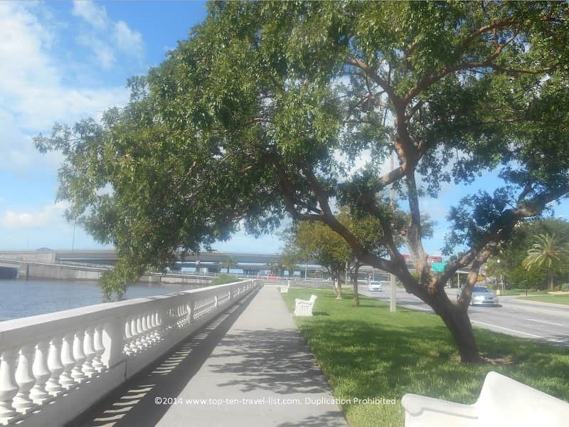 Trees and benches to relax on Tampa's Bayshore Blvd.