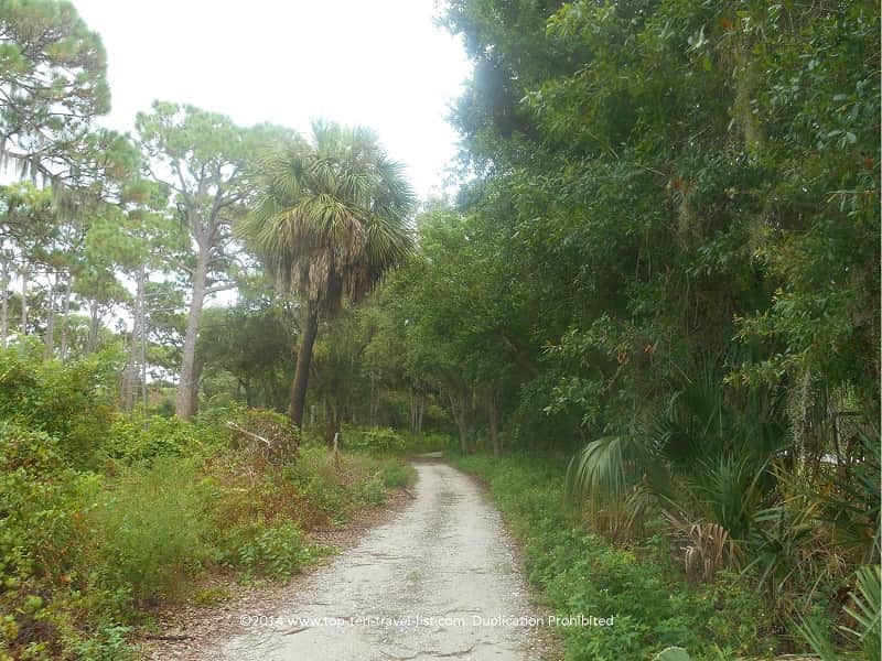 View of the trail at Boyd Hill Nature Preserve