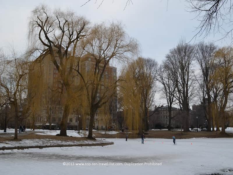 Tranquil winter views at Boston Public Garden 