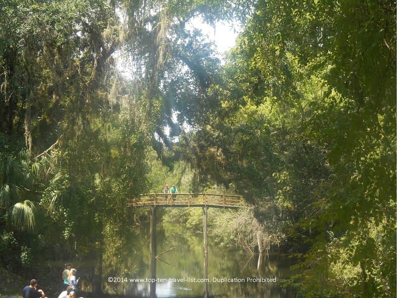 Bridge at Hillsborough River State Park in Tampa