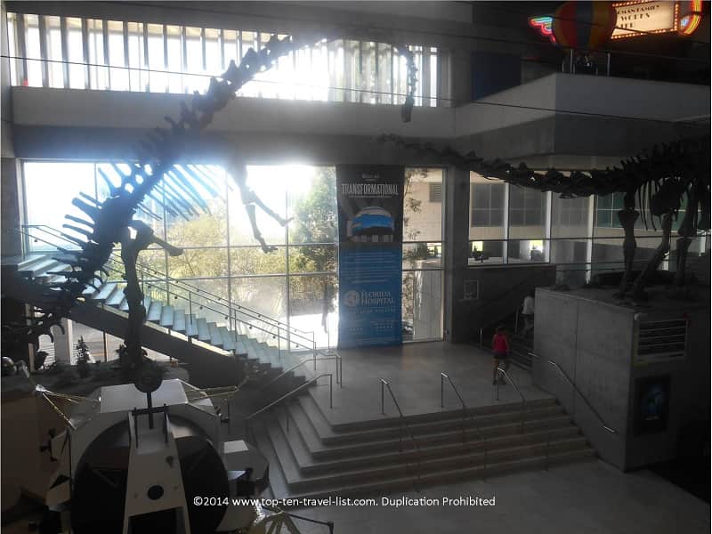 Sauropods at MOSI Tampa, Florida