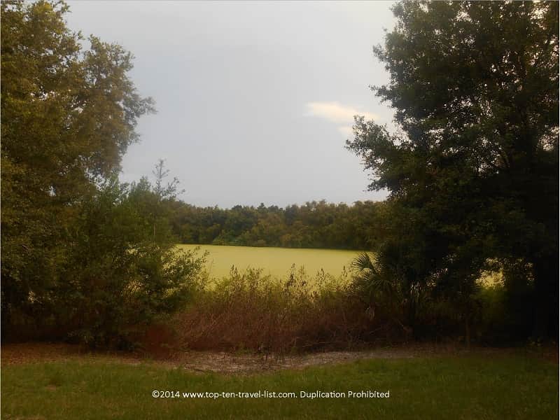 Beautiful Eagle Lake Park in Largo, Florida 