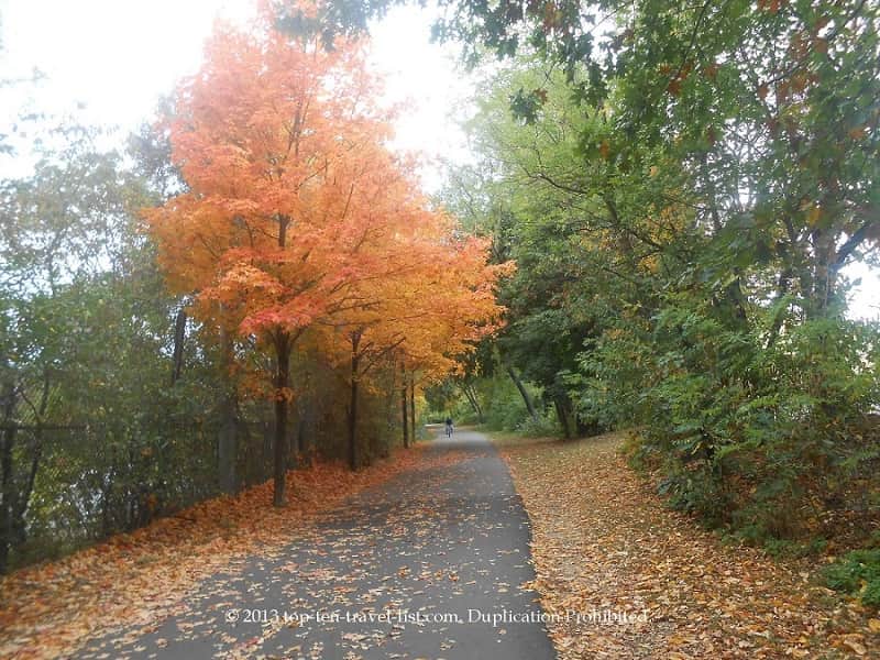 Bright orange fall foliage along the Minuteman Bikeway near Boston, 