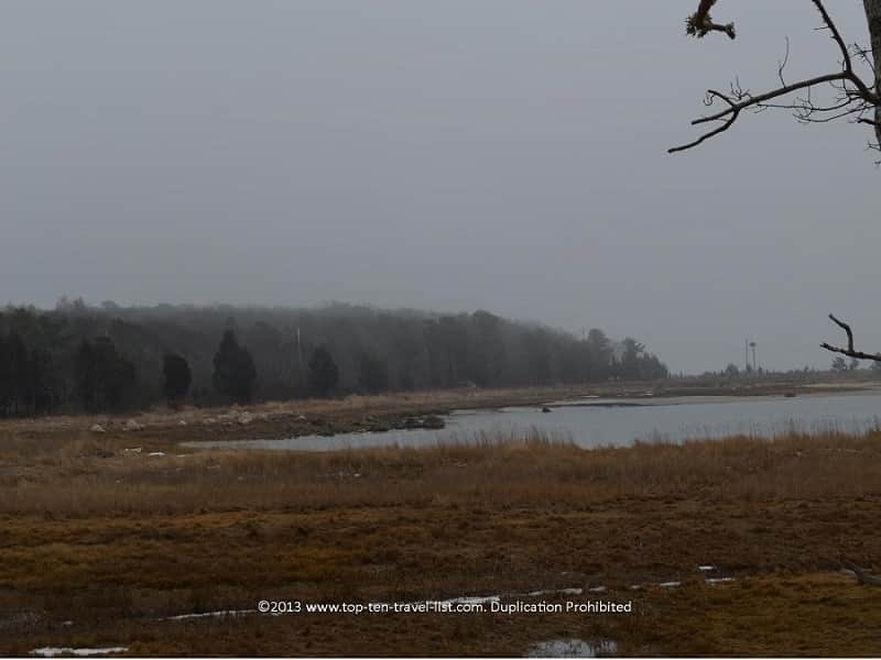Marsh views at the Great Neck Wildlife Refuge in Wareham, Massachusetts