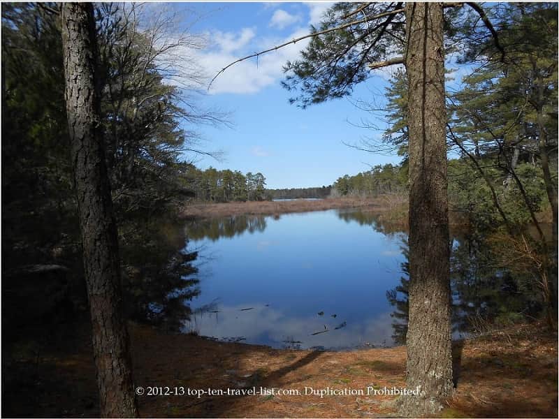 Pretty views at Myles Standish State Forest in Massachusetts