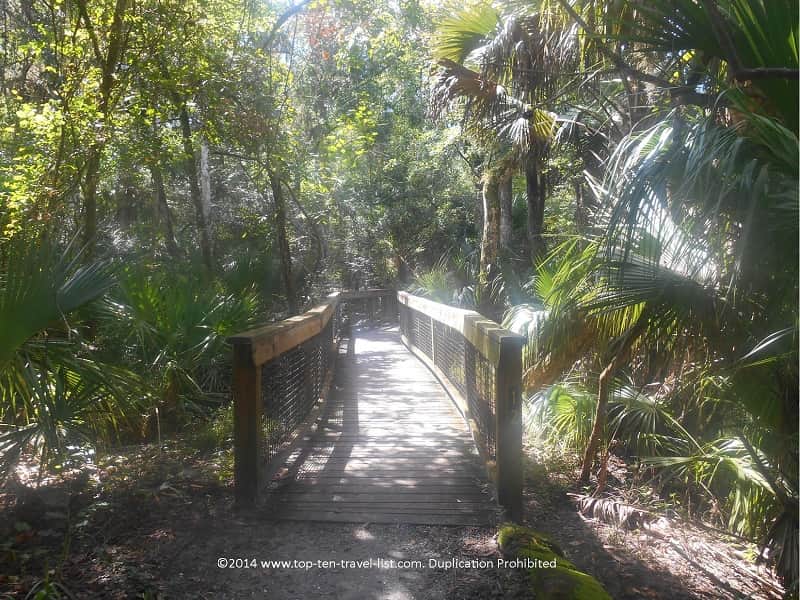 Boardwalk along the River Rapids trail at Hillsborough River State Park