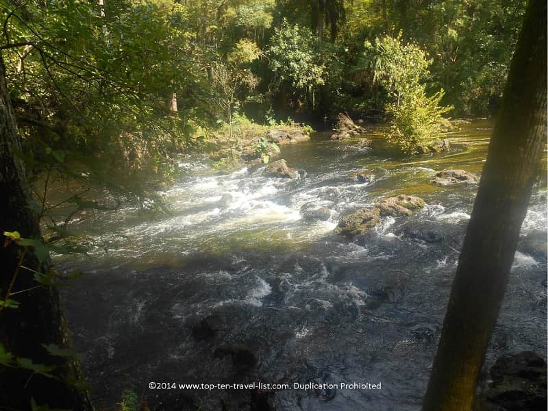 Class II Rapids at Hillsborough River State Park in Tampa