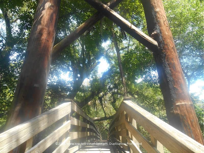 Suspension bridge at Hillsborough River State Park in Tampa, Florida