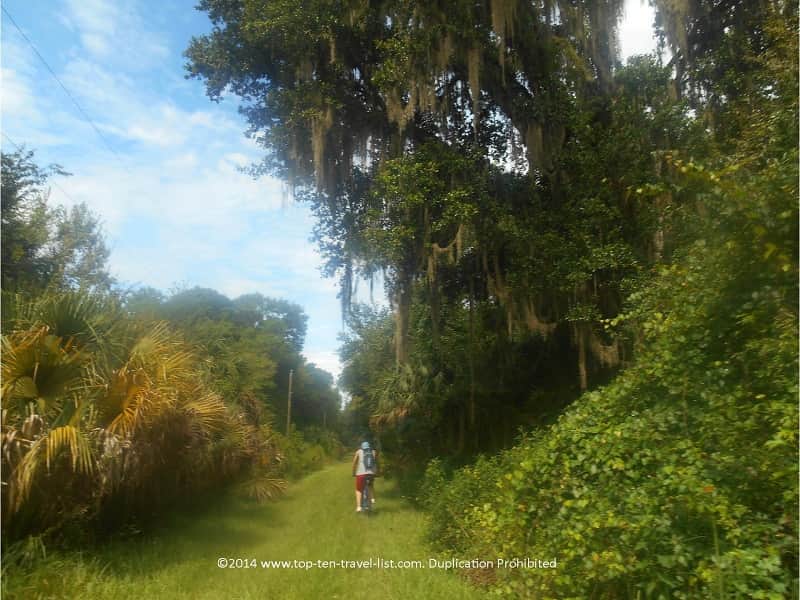 Biking along The Wetlands Trail at Hillsborough River State Park near Tampa, Florida