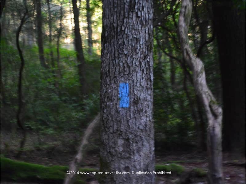 Trail marker Long Creek Falls