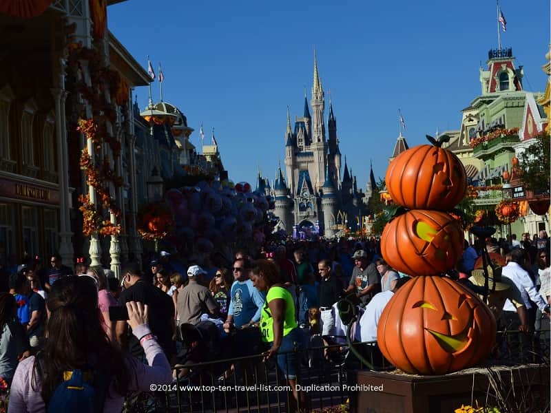 Halloween pumpkin displays at Mickey's Not So Scary Halloween Party at the Magic Kingdom 