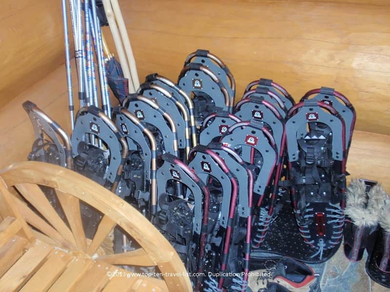 Snowshoes