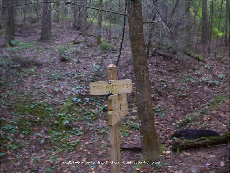 Start of Long Creek Falls trail in Blue Ridge, GA