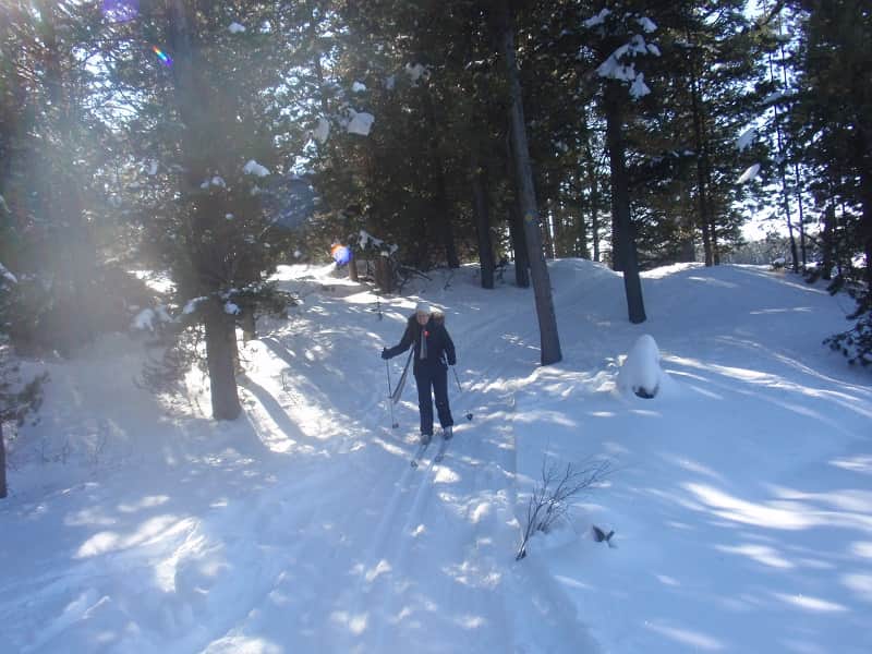 Skiing in the beautiful Harriman State Park in Idaho
