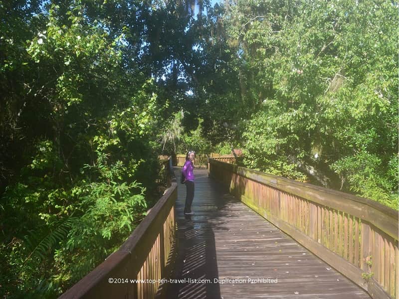 Boardwalk lined with trees at Sawgrass Lake park in St. Petersburg