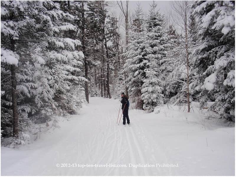 Cross country skiing at Bretton Woods Nordic Center in New Hampshire