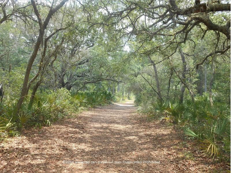 Tree lined trails at Jay B. Starkey Wilderness Park 