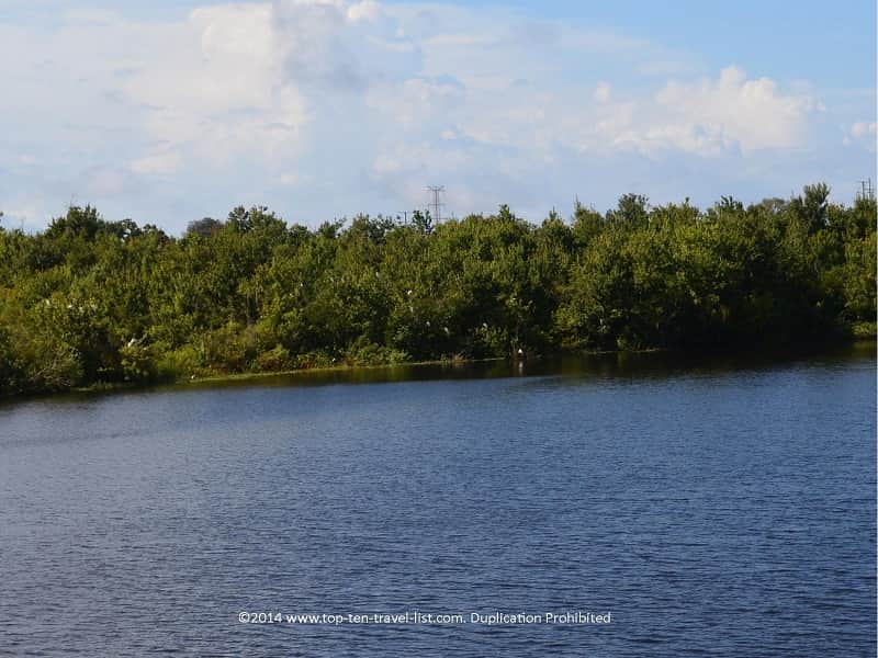 Pretty lake views at Sawgrass Lake Park in St. Petersburg