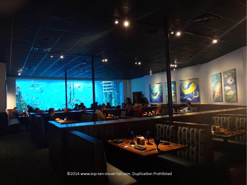 Tanked fish tank in St. Pete Beach
