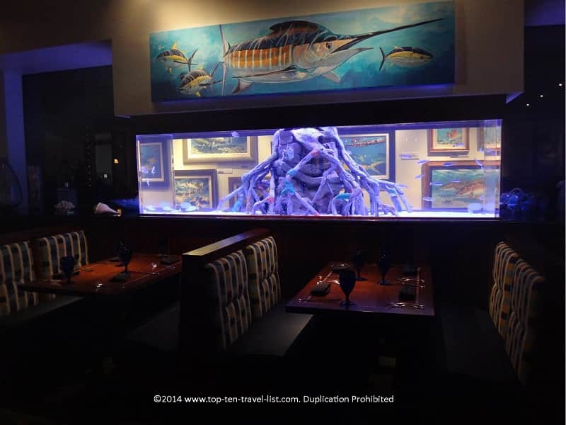 Fish tank at Rumfish Grill