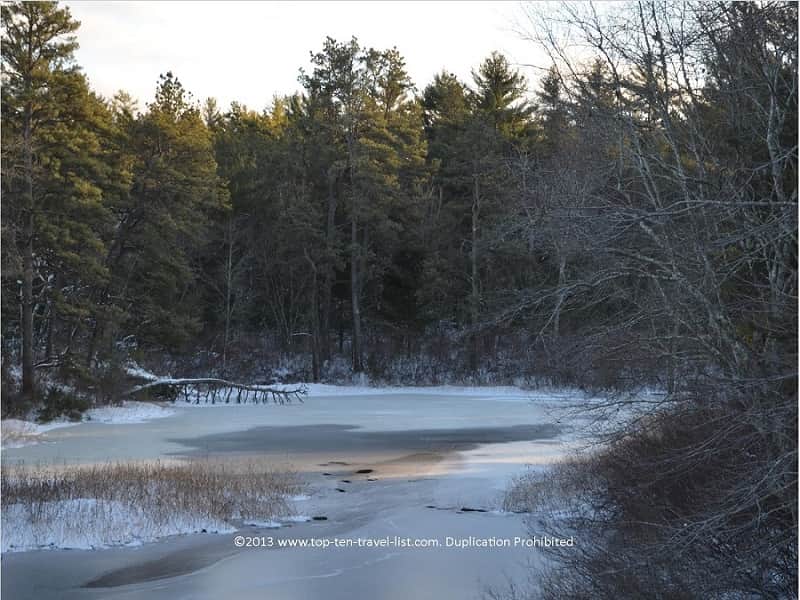 Winter snowy views at Myles Standish